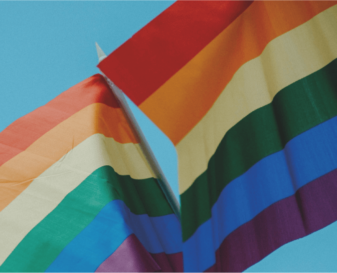 LGBTQ+ Flag